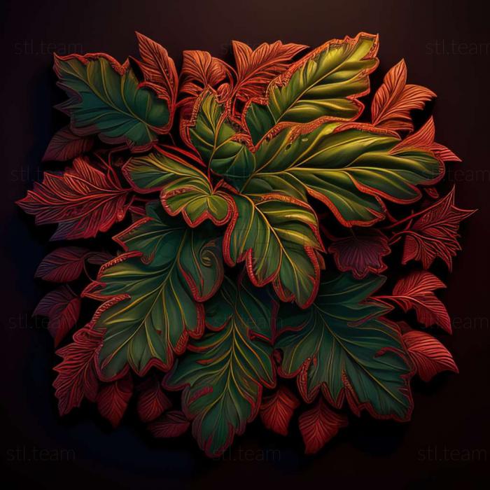 3D model Lophocoleus (STL)